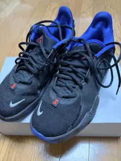 2026年最新】nike pg6の人気アイテム - メルカリ