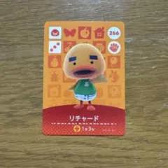 けろぴこ様 リクエスト 2点 まとめ商品