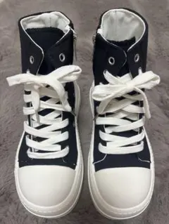 Item thumbnail for item 40fc86bf-ac9f-4234-a920-501166729b2f