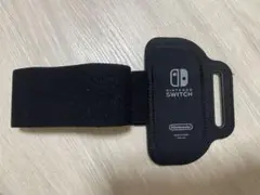 nintendo switch sports