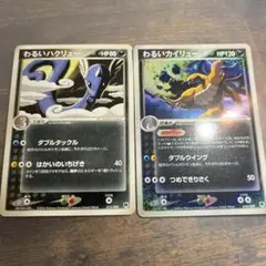 わるいハクリュー & わるいカイリュー セット