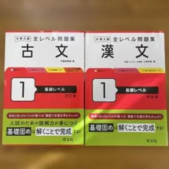 2冊セット大学入試 全レベル問題集 古文 1 基礎レベル 漢文1基礎レベル改訂版