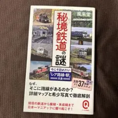 ピカチュウ様 リクエスト 2点 まとめ商品