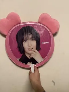 〘 値下げ⭕️〙THIS IS FOR TWICE MOMO モモ うちわカバー