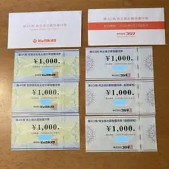 ビッグカメラ・コジマお買い物優待券6000円分