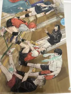 ハイキュー　東京遠征　クリアファイル