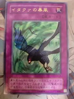 イタクァの暴風 ウルトラレア - メルカリ