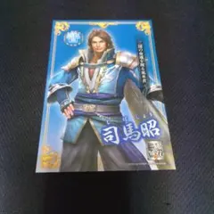 無双OROCHI3 Ultimate 英雄カード 賈充 真・三國無双7 無双OROCHI3 Ultimate 英雄カード 賈充 真・三國無双7 - メルカリ