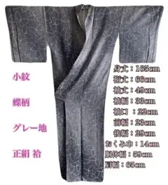 裄67cm 貴重な【単衣の訪問着】 塩沢紬【六條 ゆきやま紬】 新品の