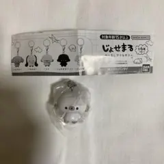 じょせまる　らて　めじるしアクセサリー