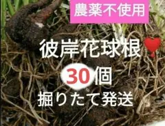 とーかつ様 リクエスト 2点 まとめ商品