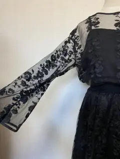 期間限定値下げ！上下セットまとめ売り　シースルーチュール花柄刺繍パーティードレス