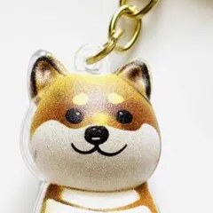 柴犬　犬の毛　キーホルダー　シバ　うちの子のけだまだま　遺毛　画像現品を発送