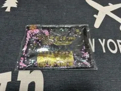 滝沢歌舞伎ZERO2020 The Movie ポーチ