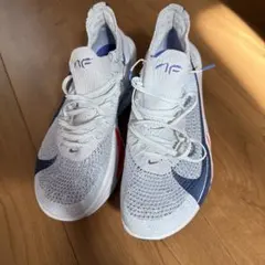 NIKEエアズームアルファフライネクスト%3