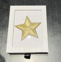 DIOR ピンバッジ　ブローチ　新品未使用