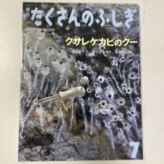 Item thumbnail for item 2d0721c5-da09-40a9-8b9f-13713165afb9