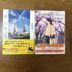 Item thumbnail for item a9c8e62f-42f8-4956-a2b8-e5800e73802a