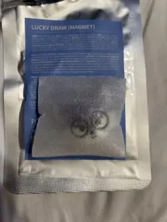 SEVENTEEN MINITEEN マグネット　ウォヌ