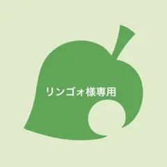 リンゴォ様 リクエスト 2点 まとめ商品