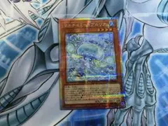 マルチャミー・プルリア　プリズマ