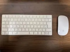 Magic Keyboard / mouse