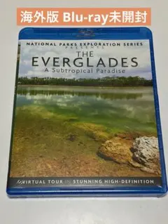 Everglades: A Sub-Tropical Paradise