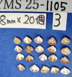 Item thumbnail for item e81826cc-99fb-4d04-99a7-f85f981b9f8c