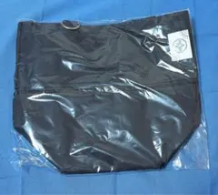 Item thumbnail for item 014c7342-bfc5-4bd1-bff2-e57c74a31e35