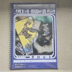 2026年最新】タロットソニックの人気アイテム - メルカリ