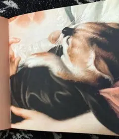 Item thumbnail for item a6e2c54a-1d04-4c8e-ad35-63e0ff308d53