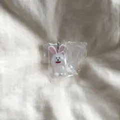 たべっ子どうぶつ THE MOVIE めじるしアクセサリー うさぎちゃん