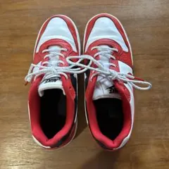 NIKE Ebernon Low Prem 25cm