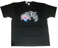 Item thumbnail for item a65b09a5-5ae8-4a9b-b355-95928970a9ae