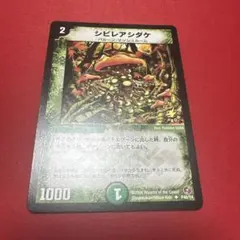 2026年最新】シビレアシダケ プロモの人気アイテム - メルカリ