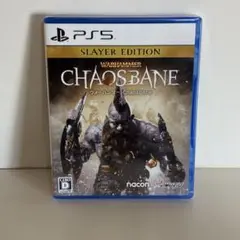 【新品未開封】ウォーハンマー：Chaosbane Slayer Edition