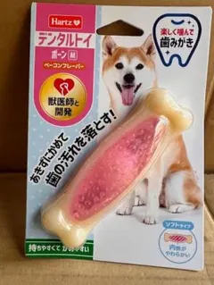 Item thumbnail for item 6b1444db-8e54-4ebe-adb1-3414ec29ab4f