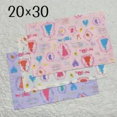 ランチョンマット 20×30 3枚セット 女の子用　プリンセス柄色違い　女児