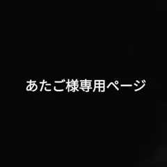 専用ページ