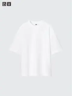 Item thumbnail for item 32f36759-b622-40f1-8654-8f1d00665266