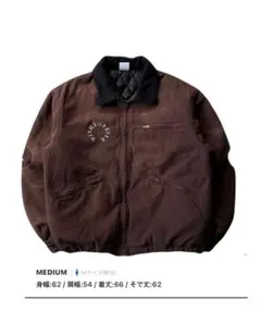 Item thumbnail for item d59e073e-864d-43ee-88bb-f3de9f142102