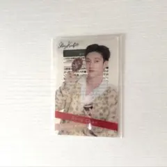 Stray Kids ファミマコラボ バンチャン クリアトレカ