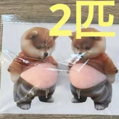 柴犬おなかぷくぷくシール 3Dシール お腹ぷにぷにシール 2匹セット