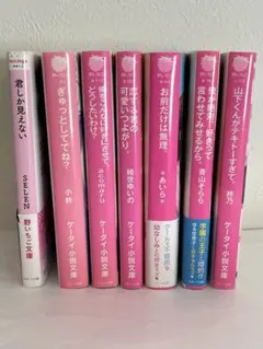 ケータイ小説　まとめ売り　野いちご