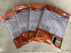 Item thumbnail for item 8d76c430-b4ed-443f-9d83-bd91c9711dfd