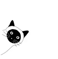 こたまま様専用ページ