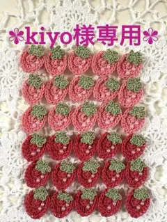 kiyo様専用ページ-` ̗ ❤︎ ̖ ´-
