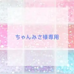 ちゃんみさ様専用ページ