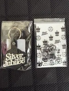 未開封　BUMP OF CHICKEN キーホルダーステッカーセット