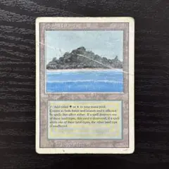 2026年最新】tropical island mtgの人気アイテム - メルカリ